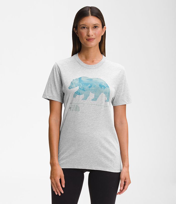 The North Face T-Shirts Short Sleeve Bearscape 2.0 Light Grey - Womens - Thailand ZECOQ-4970